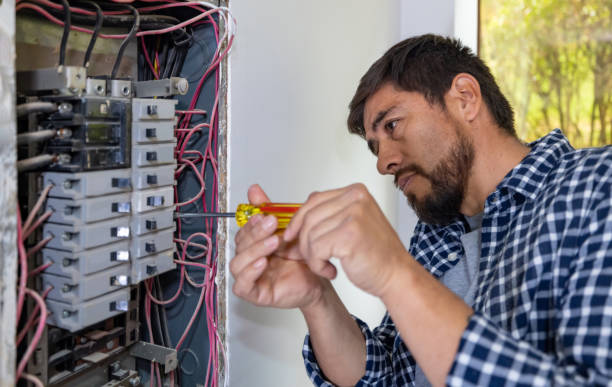 Best Ceiling Fan Installation Electrician  in Knob Noster, MO